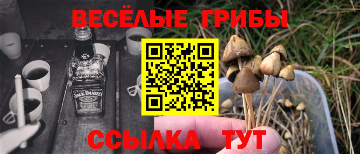 Воткинск  Галлюциногенные грибы Psilocybe  Вход с VPN 